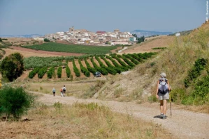 Chemins de Compostelle : Léon - Sarria - Photo 2