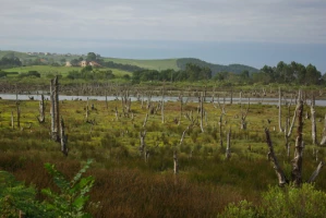 Chemins de Compostelle : Santillana del Mar - Oviedo - Photo 2
