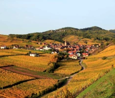 Alsace Médiévale - Photo 3