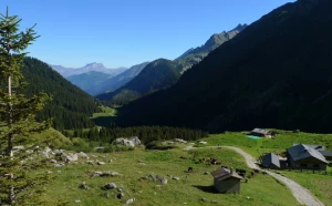 Tour du Mont Blanc Nord en liberté - Photo 1