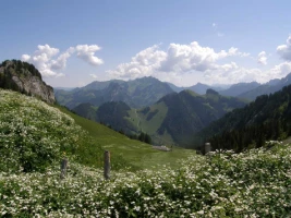 Balcons de Gruyère en Liberté - Photo 1