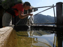 Balcons de Gruyère en Liberté - Photo 1