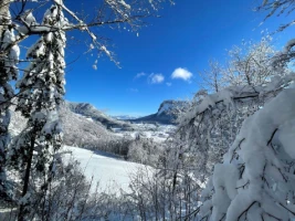 Raquettes douces en Chartreuse - Photo 2