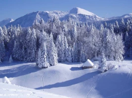 Tour des Bauges en Liberté - Photo 1