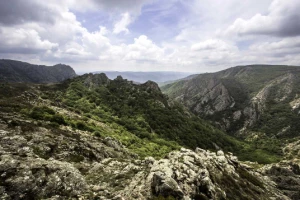 Caroux en Liberté - Photo 3