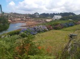 La Côte de Granit Rose en Liberté - Photo 1