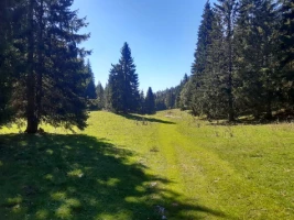 Traversée du Jura en Liberté - Photo 2