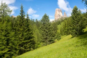 Traversée des Dolomites liberté - Photo 2