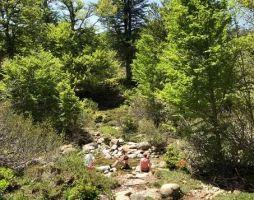 GR20 Sud : Bavella - Vizzavona - Photo 2