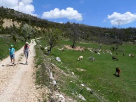 Tour des Gorges du Verdon en liberté - Photo 3