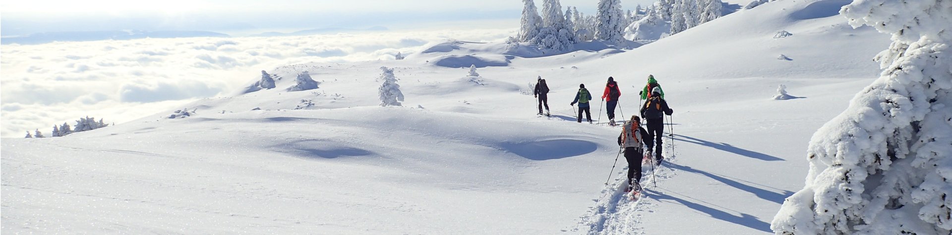 Découvrez nos séjours et voyages