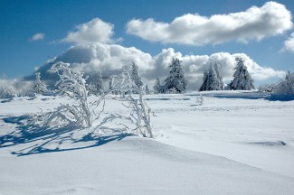 Le Lac Blanc en Liberté - France