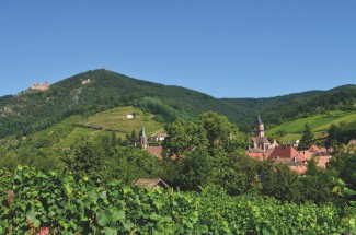Randonnée entre Vosges et Alsace - France