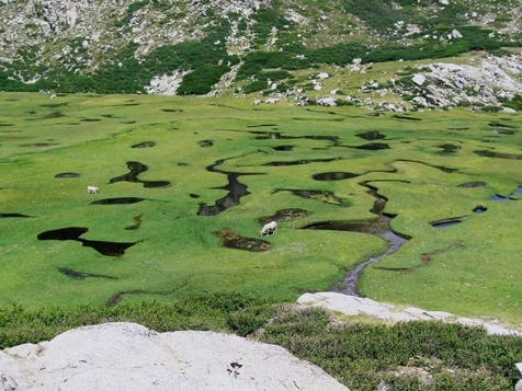 GR20 Sud en liberté - Photo 8