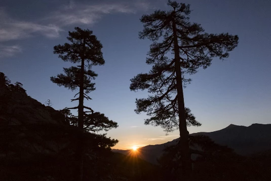 GR20 Nord en liberté - Photo 9