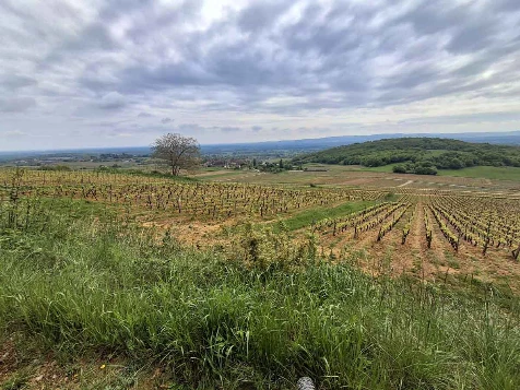 Chemins de Compostelle : Beaune - Cluny - Photo 9