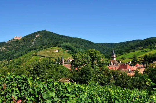 Alsace en liberté - Photo 11