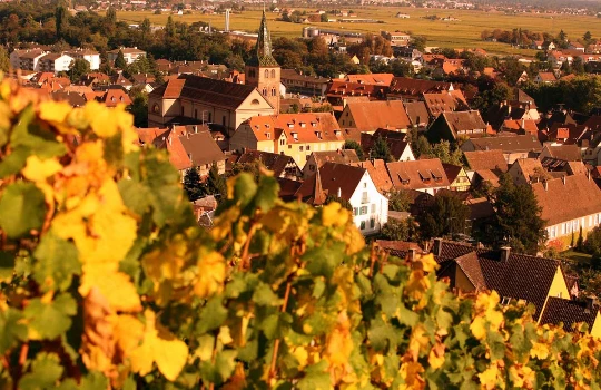 Alsace en liberté - Photo 9