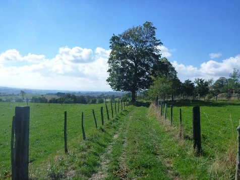 Chemins de Compostelle : Lyon - Le Puy en Velay - Photo 1