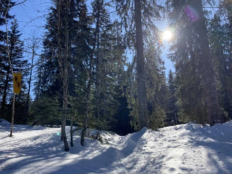 Raquettes & Détente dans le Jura - Photo 7