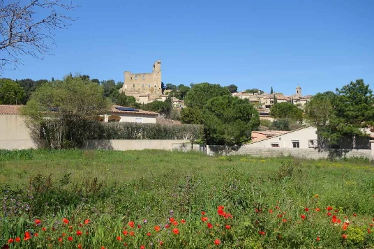 Le Rhône à vélo électrique : Genève - Grau du Roi - Photo 4