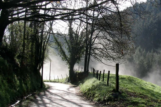 Tour du Beaujolais en Liberté - Photo 7