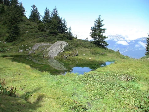 Rando détente dans les Alpes Dauphinoises - Photo 2