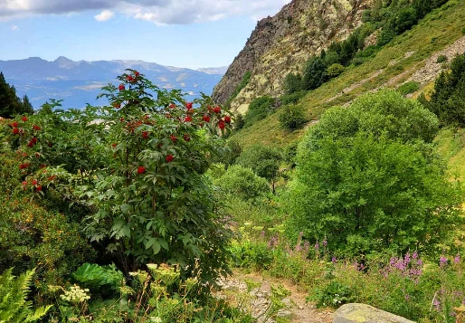 GR10 : De Merens les Vals - Vernet les Bains - Photo 2