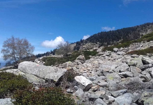 GR10 : De Vernet les Bains - Banyuls - Photo 6