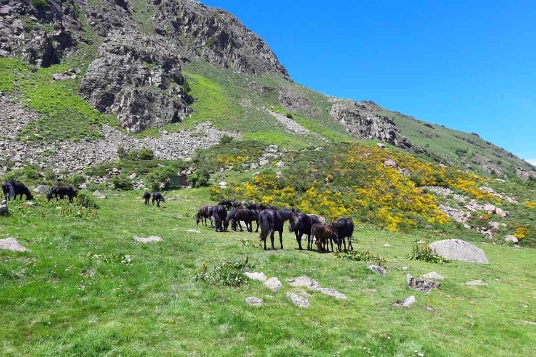 GR10 : Aulus Les Bains - Ax Les Thermes - Photo 1