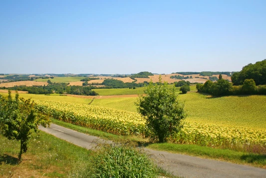 Chemins de Compostelle : Lectoure - Aire sur Adour - Photo 11