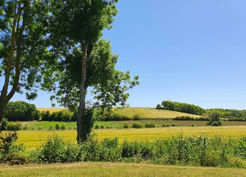 Chemins de Compostelle : Lectoure - Aire sur Adour - Photo 1