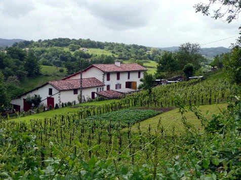 Chemins de Compostelle : Aire sur Adour - St Jean Pied de Port - Photo 6