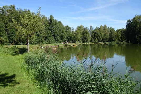 Chemins de Compostelle : St Genix sur G - Condrieu - Photo 3