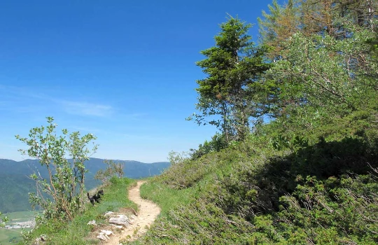 Vercors d'Exception en liberté - Photo 2