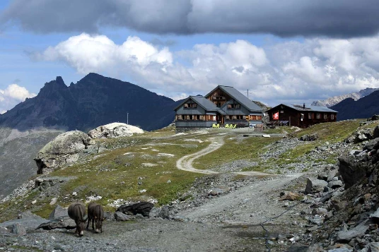Chamonix - Zermatt en liberté - Photo 9