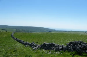 Tour de l'Aubrac en liberté - Photo 3