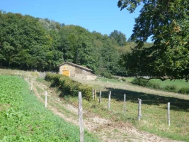 Chemins de Compostelle : Montbrison - Le Puy en Velay (Ch de Lyon) - Photo 3