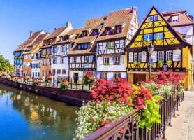 Alsace en liberté - Photo 2