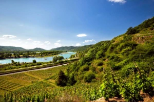 Le Rhône à vélo électrique : Genève - Grau du Roi - Photo 1