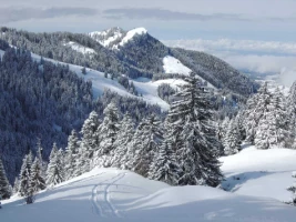 Panoramas en Abondance - Photo 2