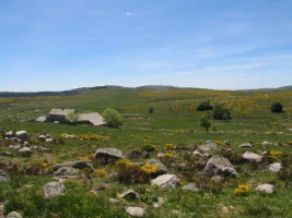 Stevenson : du Puy a Chasserades - Photo 3