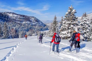 Raquettes douces en Chartreuse - Photo 3