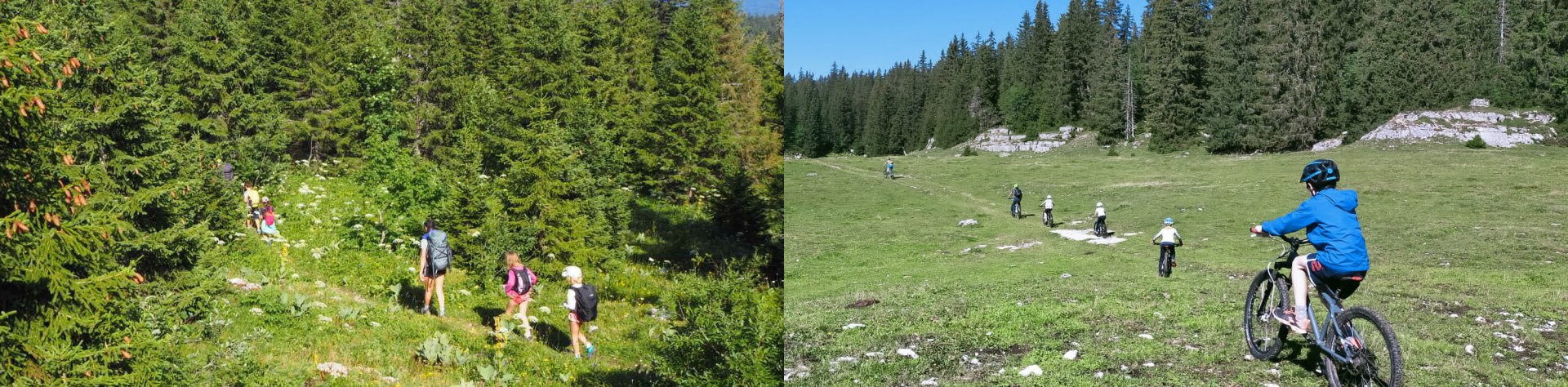 Découvrez nos séjours et voyages