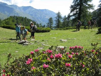 Queyras en liberté avec un âne - Alpes du Sud