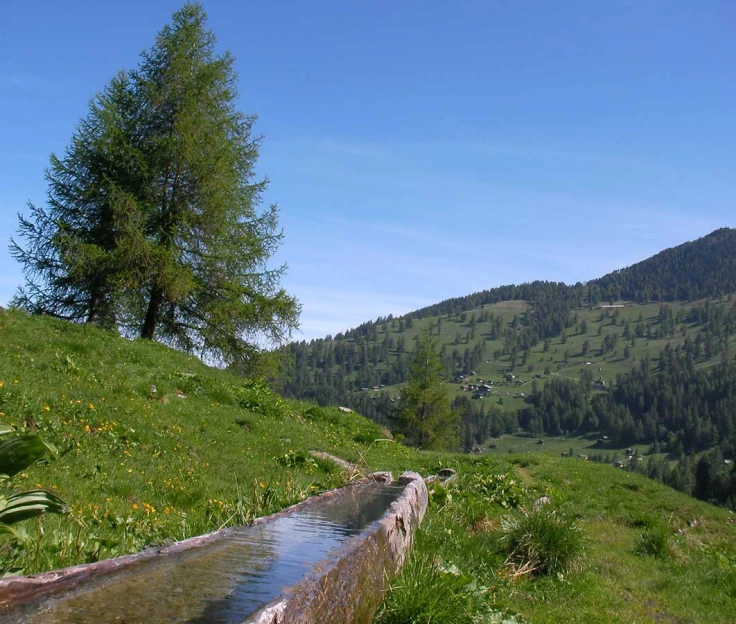 Les Bisses du Valais - Alpes Suisse