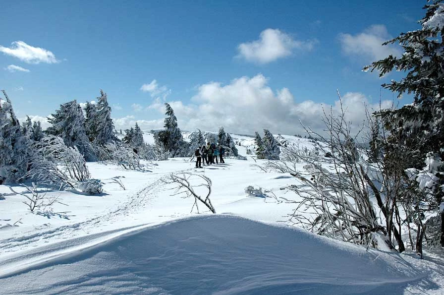 Au Pays du Lac Blanc - Vosges