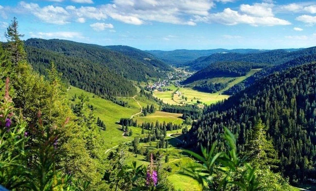 Traversée de la Forêt Noire en liberté - 