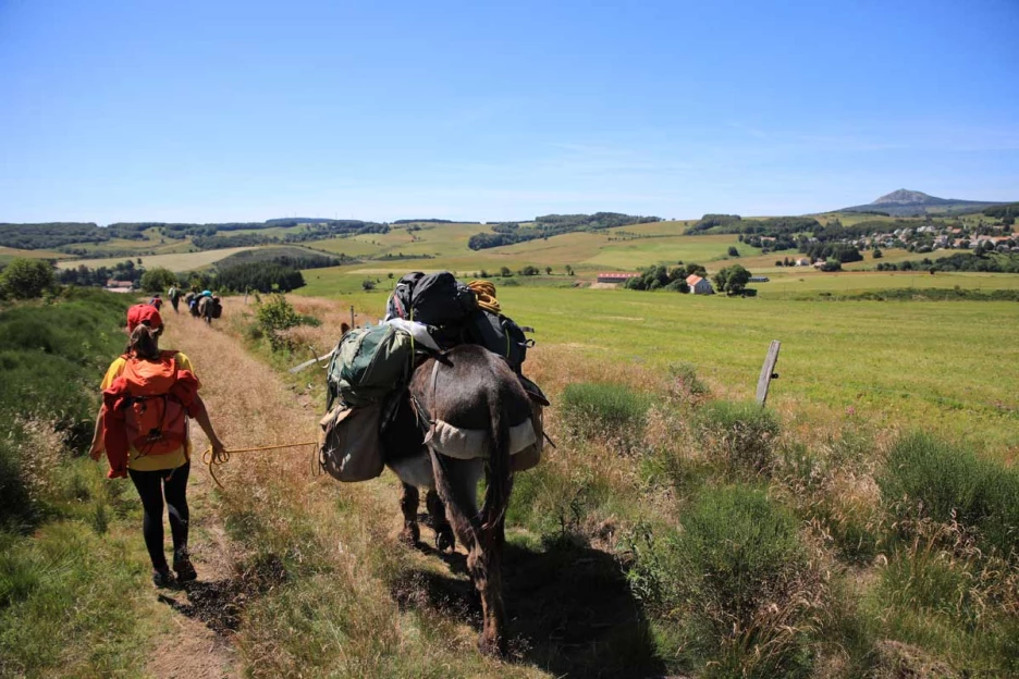 Ardèche en liberté avec un âne - Massif Central