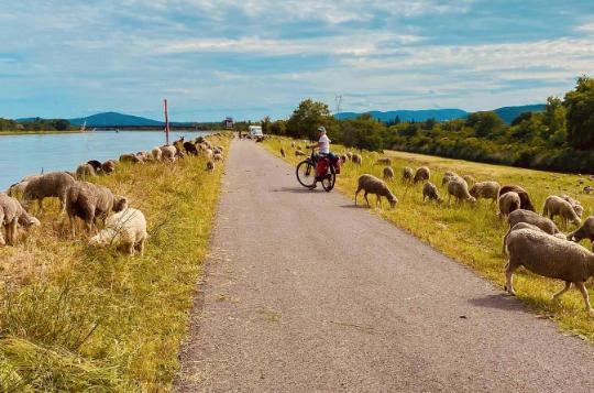 Le Rhône à vélo : Lyon - Montélimar - Alpes du Nord